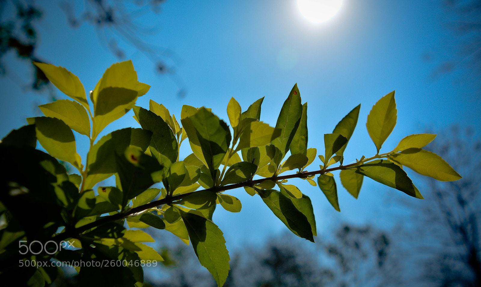 Nikon D5200 sample photo. The morning glow photography