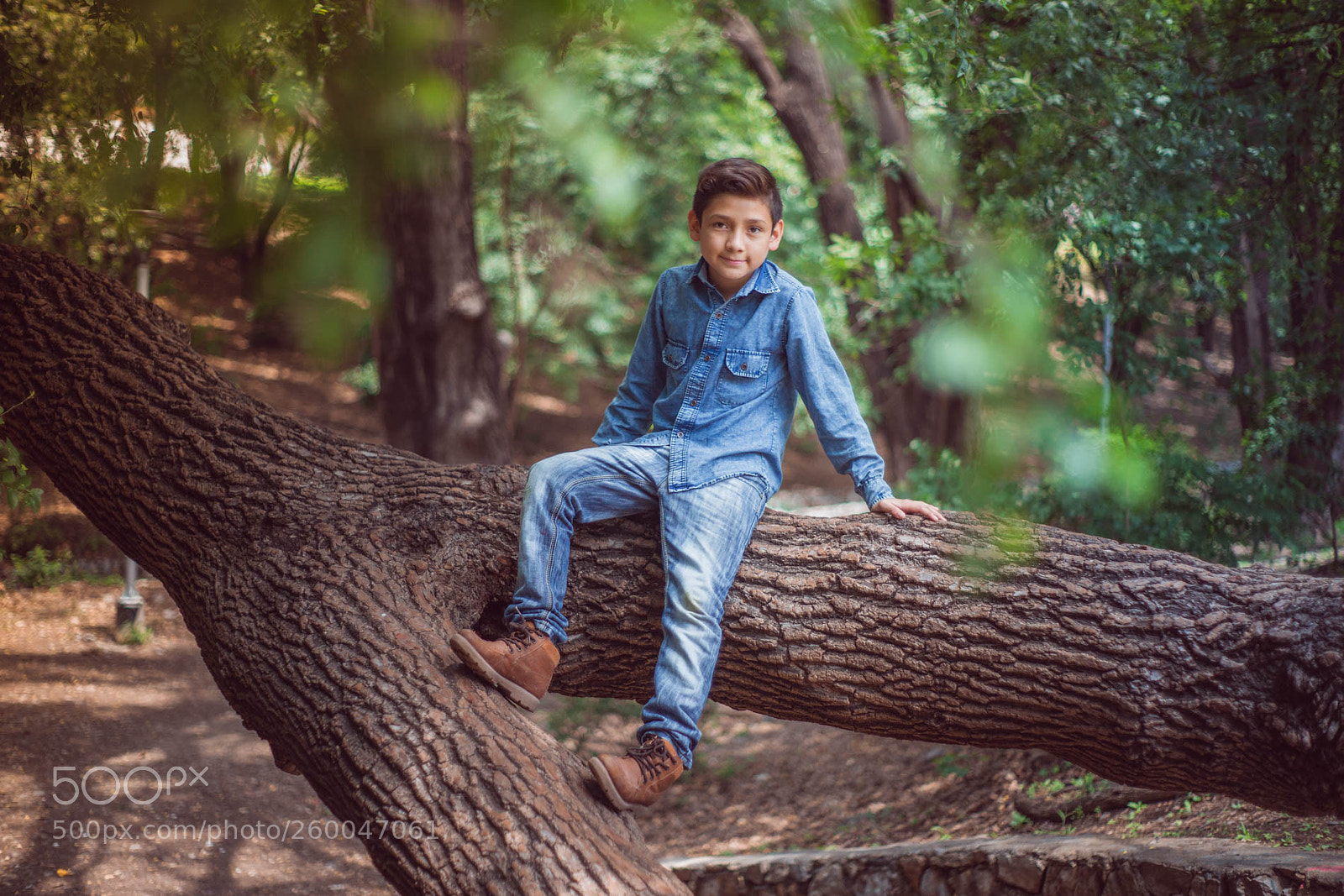 Sony Alpha DSLR-A850 sample photo. Untitled photography