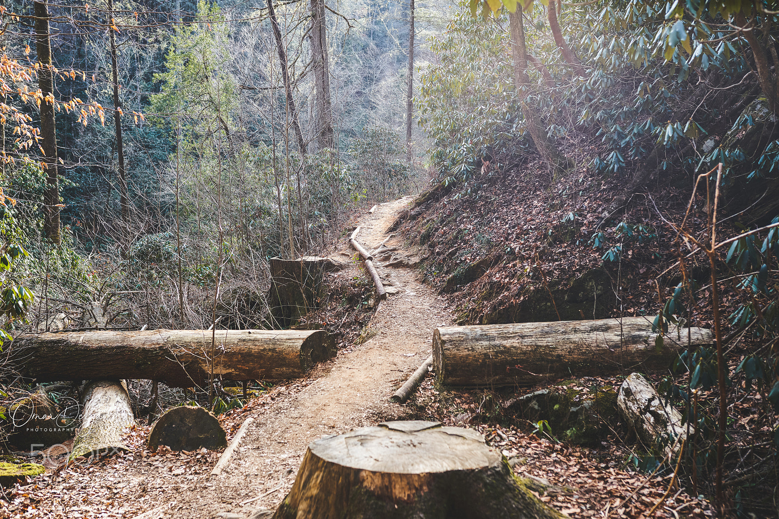 Sony a7R III sample photo. Blue ridge ga. photography