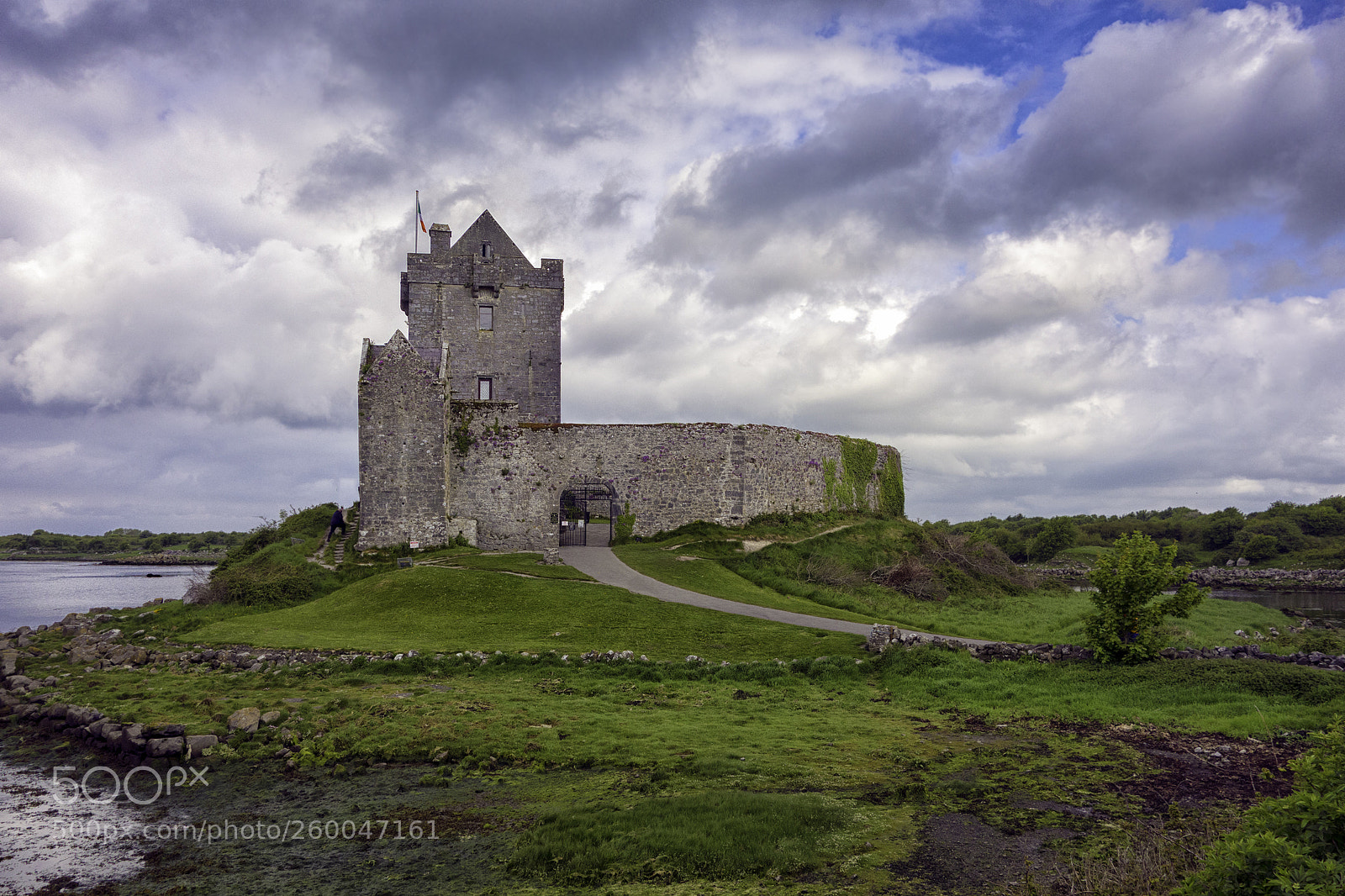 Sony Cyber-shot DSC-RX100 sample photo. Dunguaire castle photography