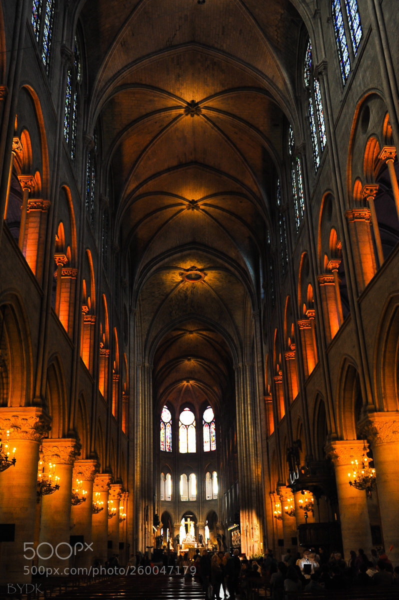 Nikon D700 sample photo. Cath drale notre-dame de photography
