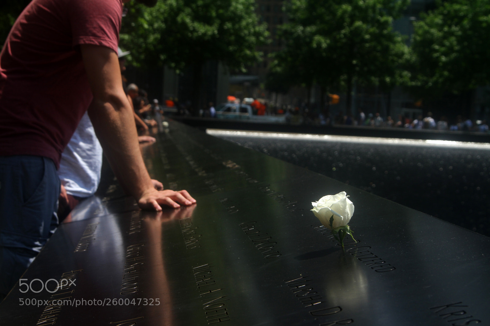 Canon EOS 7D sample photo. Ground zero photography