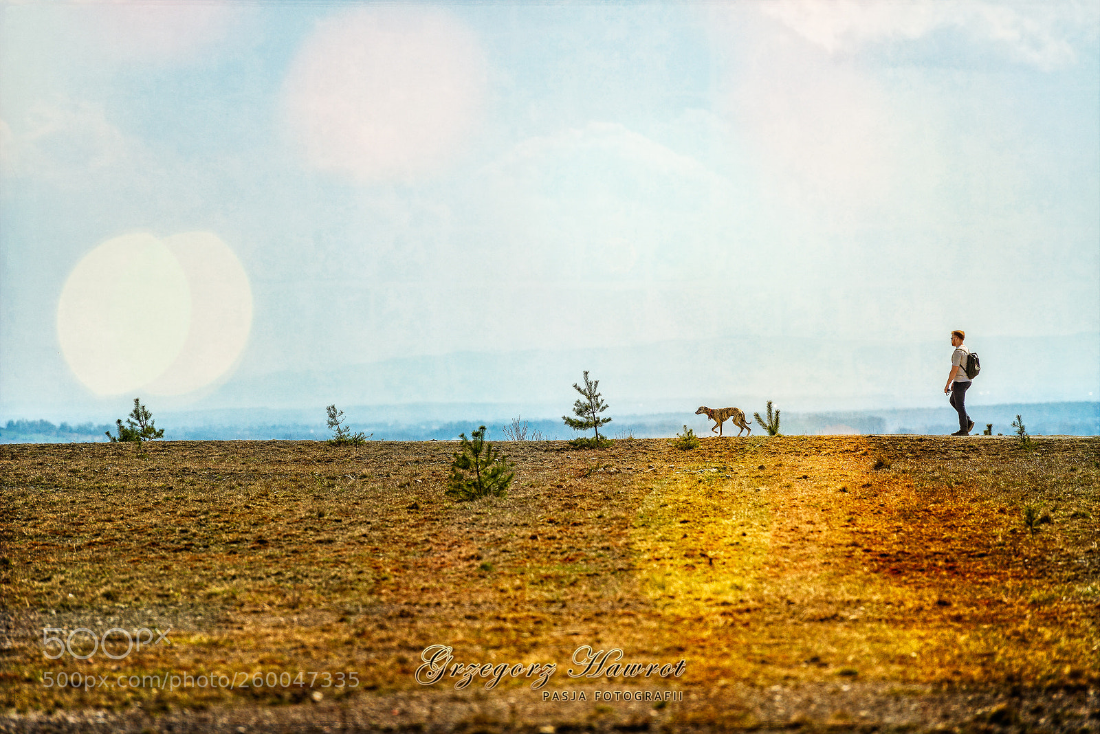 Nikon D800 sample photo. Na ha dzie katowice photography