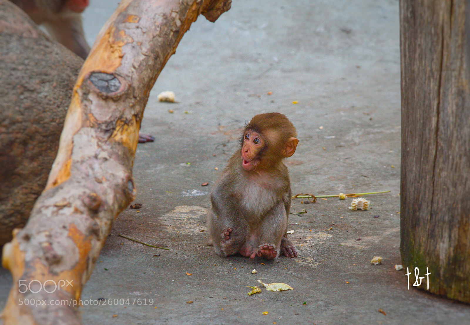 Canon EOS 7D sample photo. Untitled photography