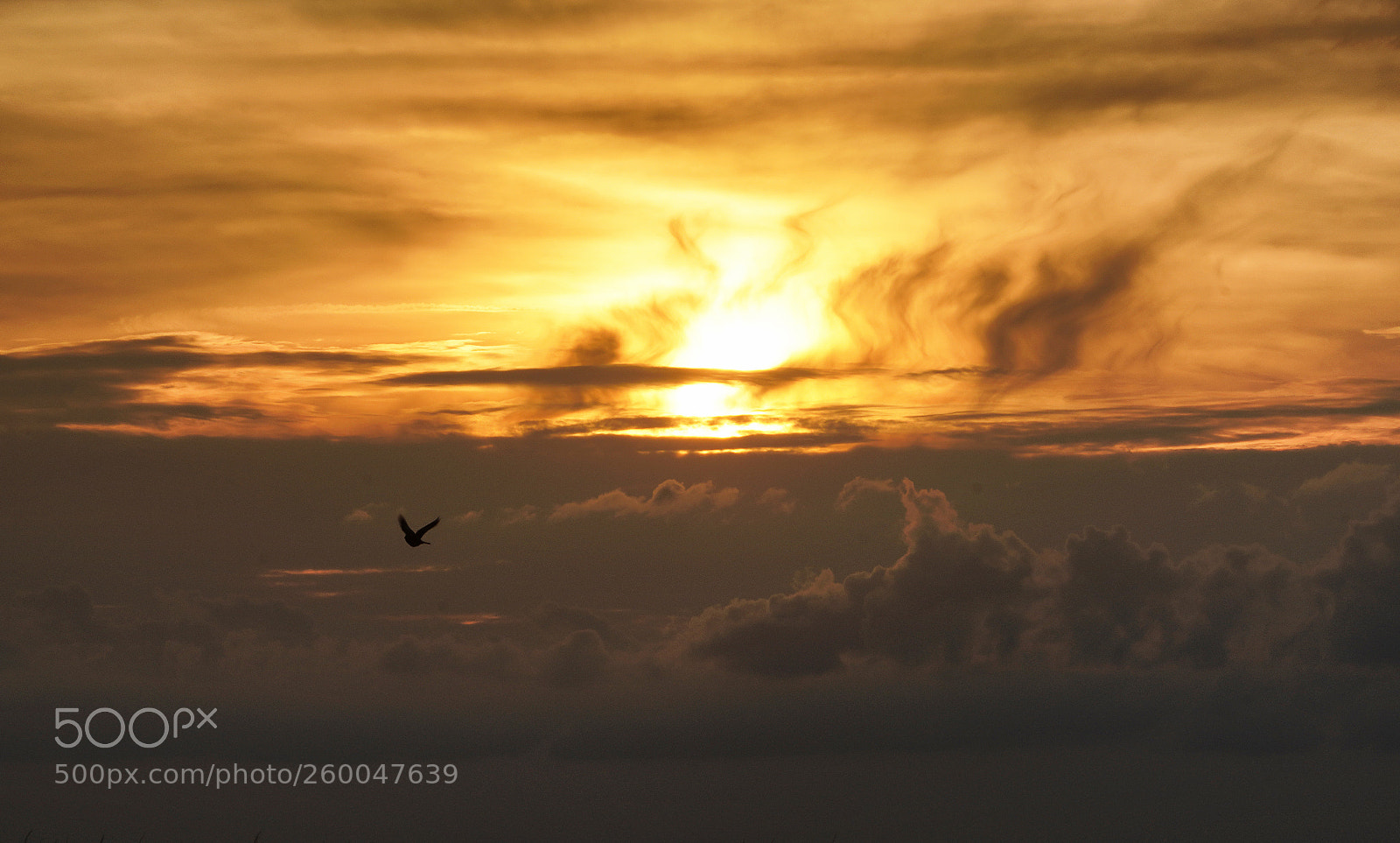 Sony a7R III sample photo. Sunset on abemarle sound photography