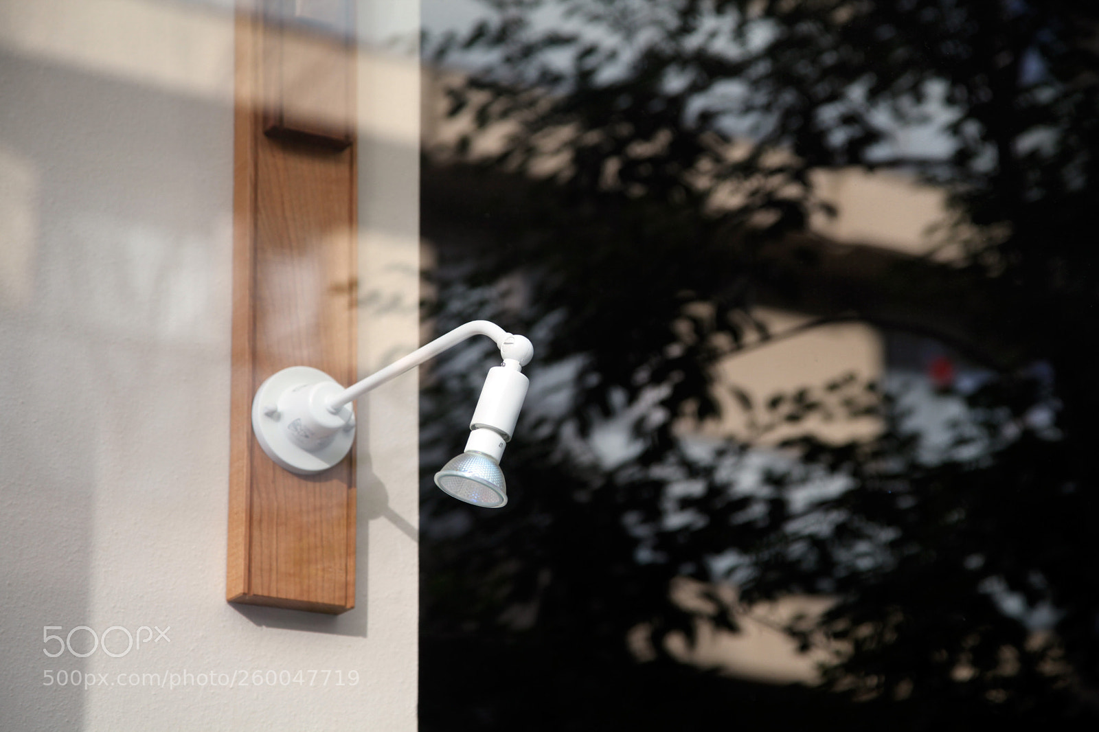 Canon EOS 5D Mark II sample photo. 灯りの照らしだす物は　something the light illuminates photography