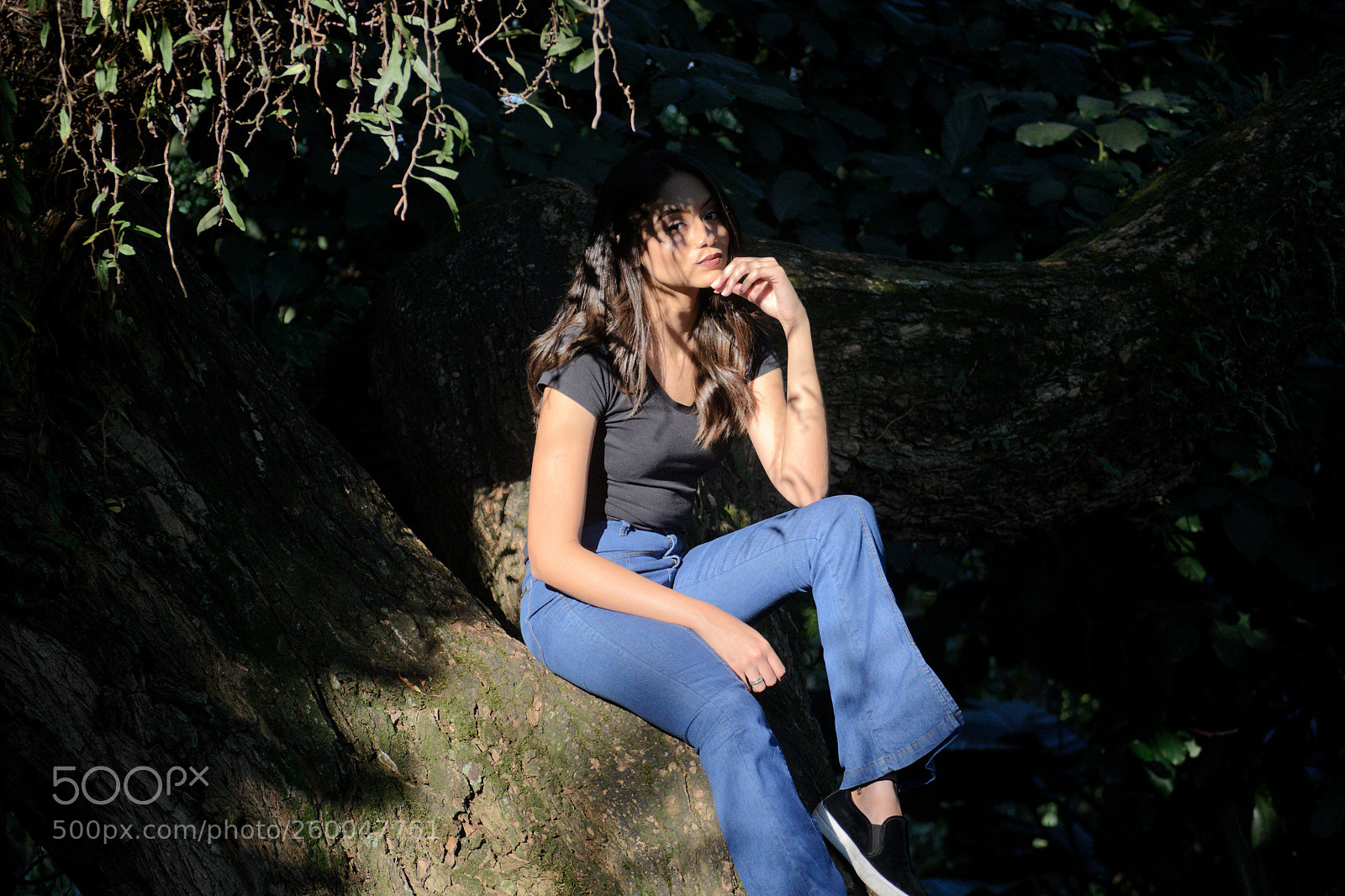 Nikon D3100 sample photo. Untitled photography