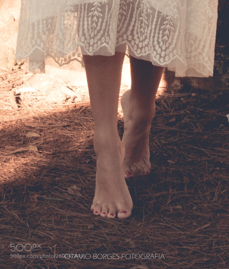 Canon EOS 80D sample photo. Untitled photography