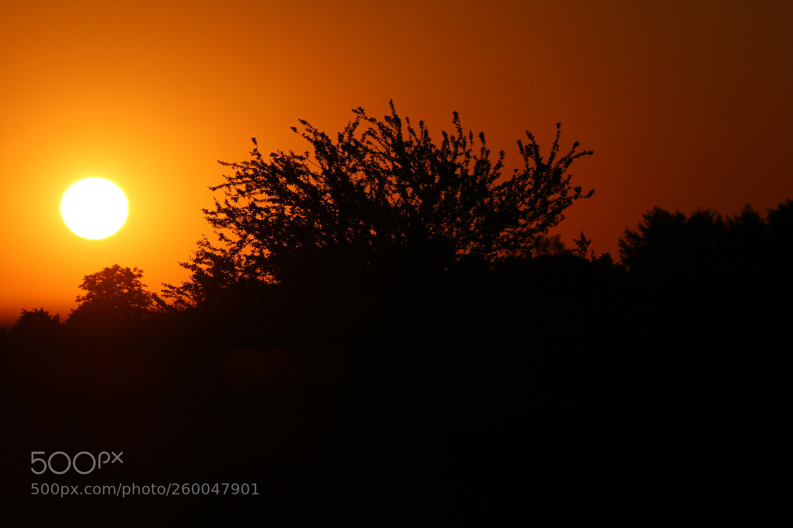 Canon EF-S 18-200mm F3.5-5.6 IS sample photo. Early morning shot of photography
