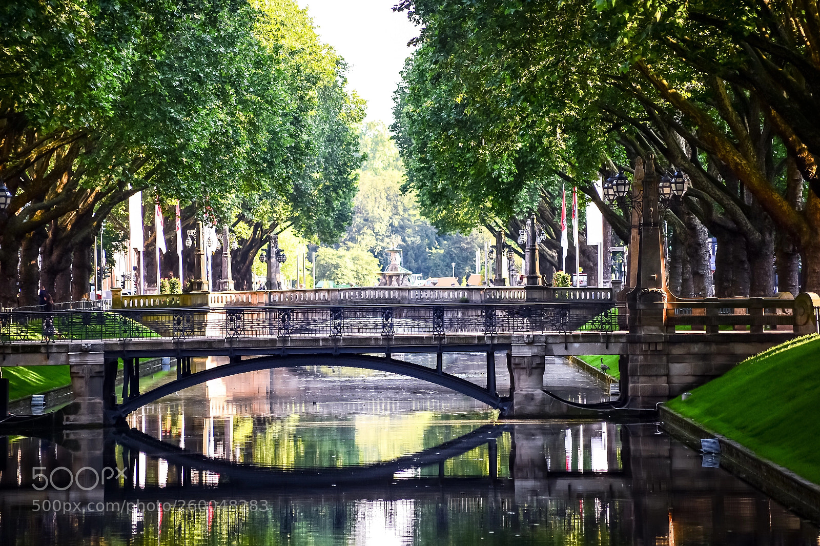 Nikon Df sample photo. The bridge and river photography