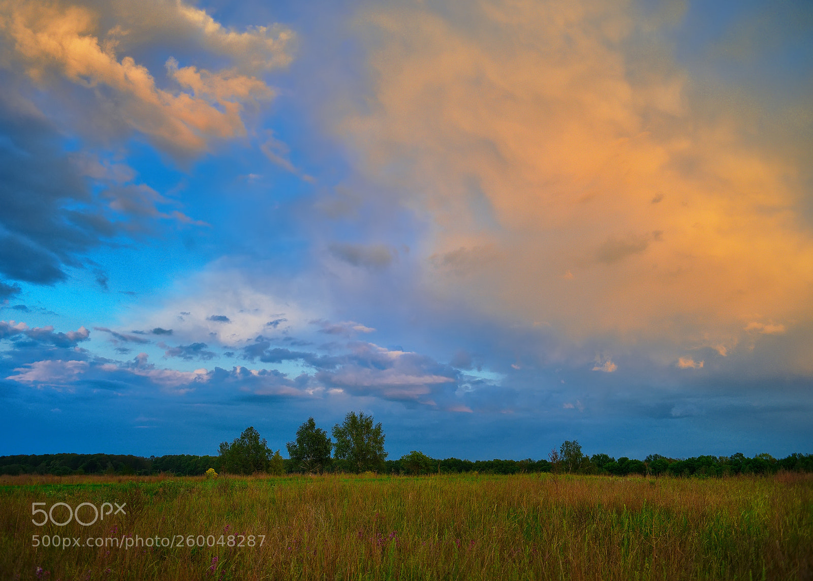 Nikon D800E sample photo. Sunset- color of the photography
