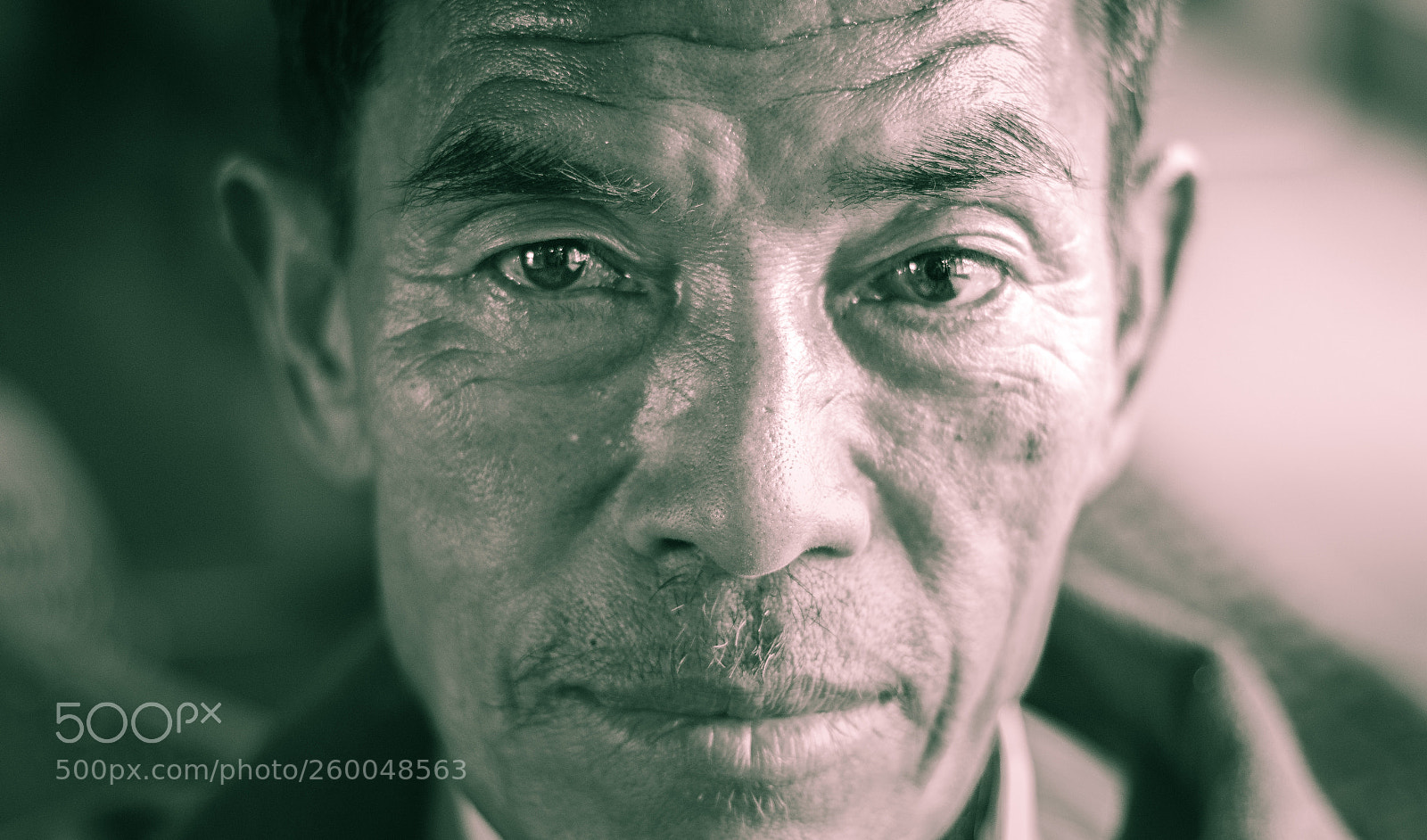 Canon EOS 70D sample photo. The known photography