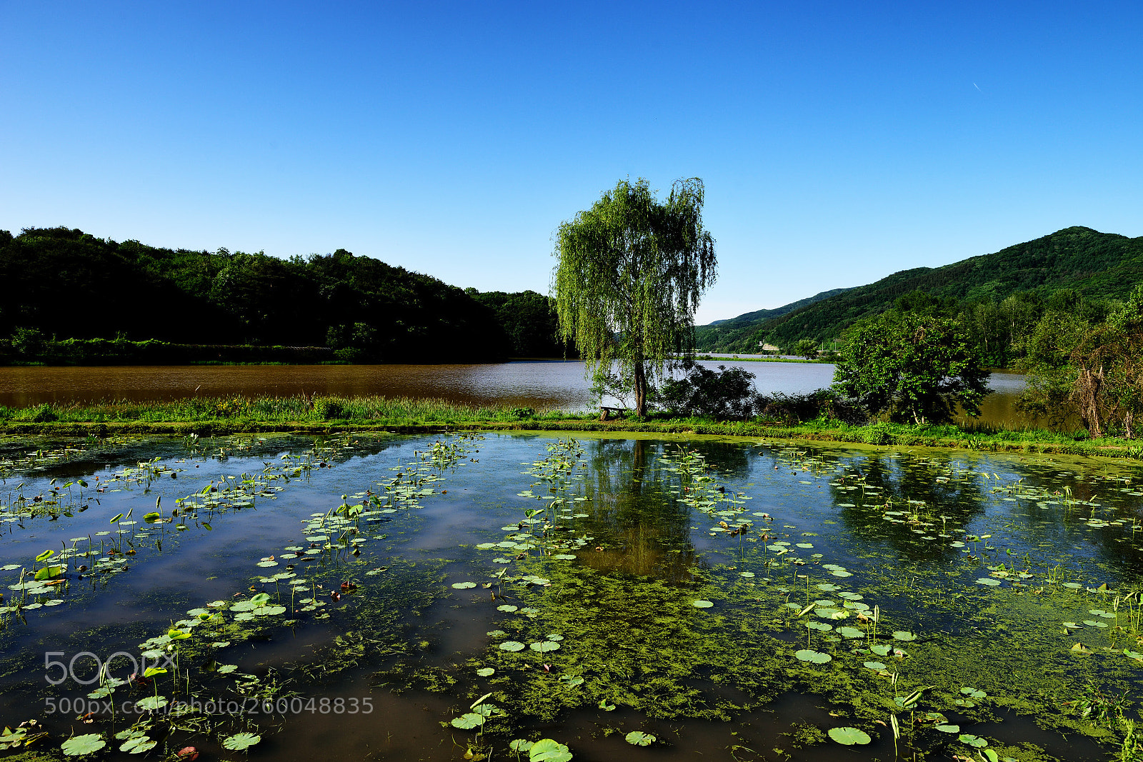 Nikon D810 sample photo. One day in may. photography
