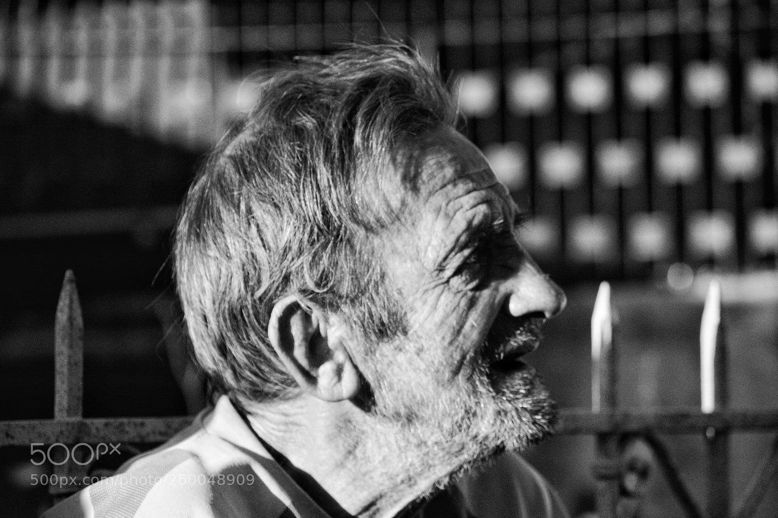 Nikon D3100 sample photo. Untitled photography
