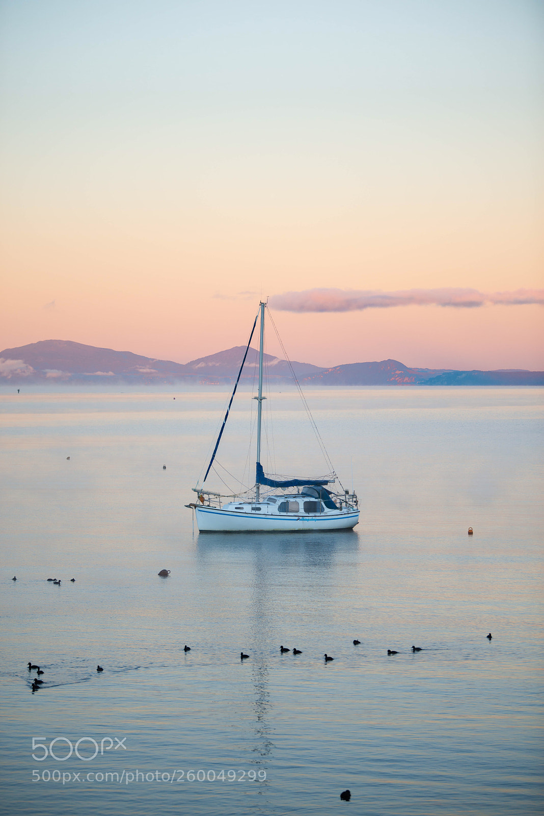 Nikon D800 sample photo. Lake taupo photography