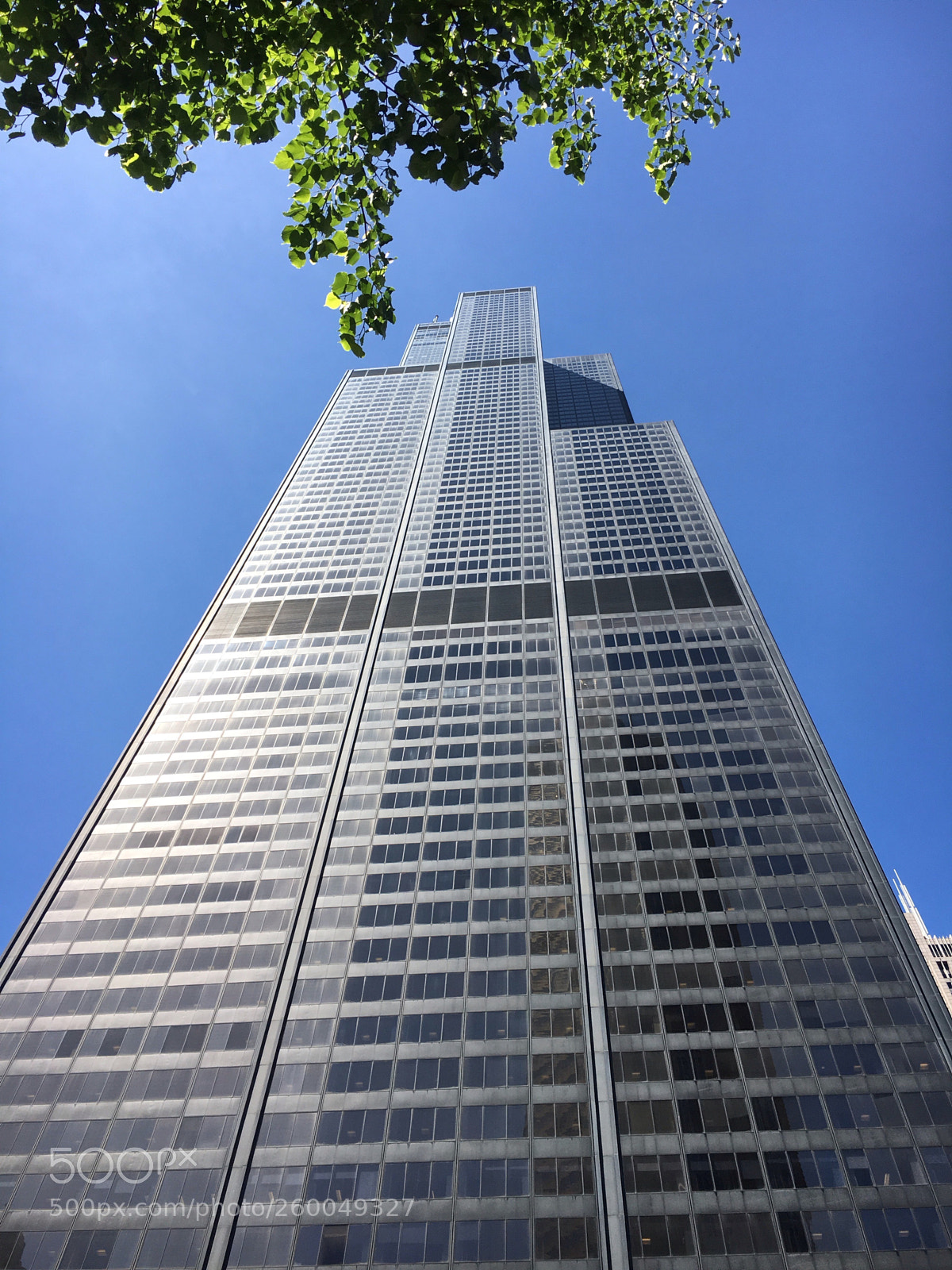 Apple iPhone 6s sample photo. Willis tower  photography