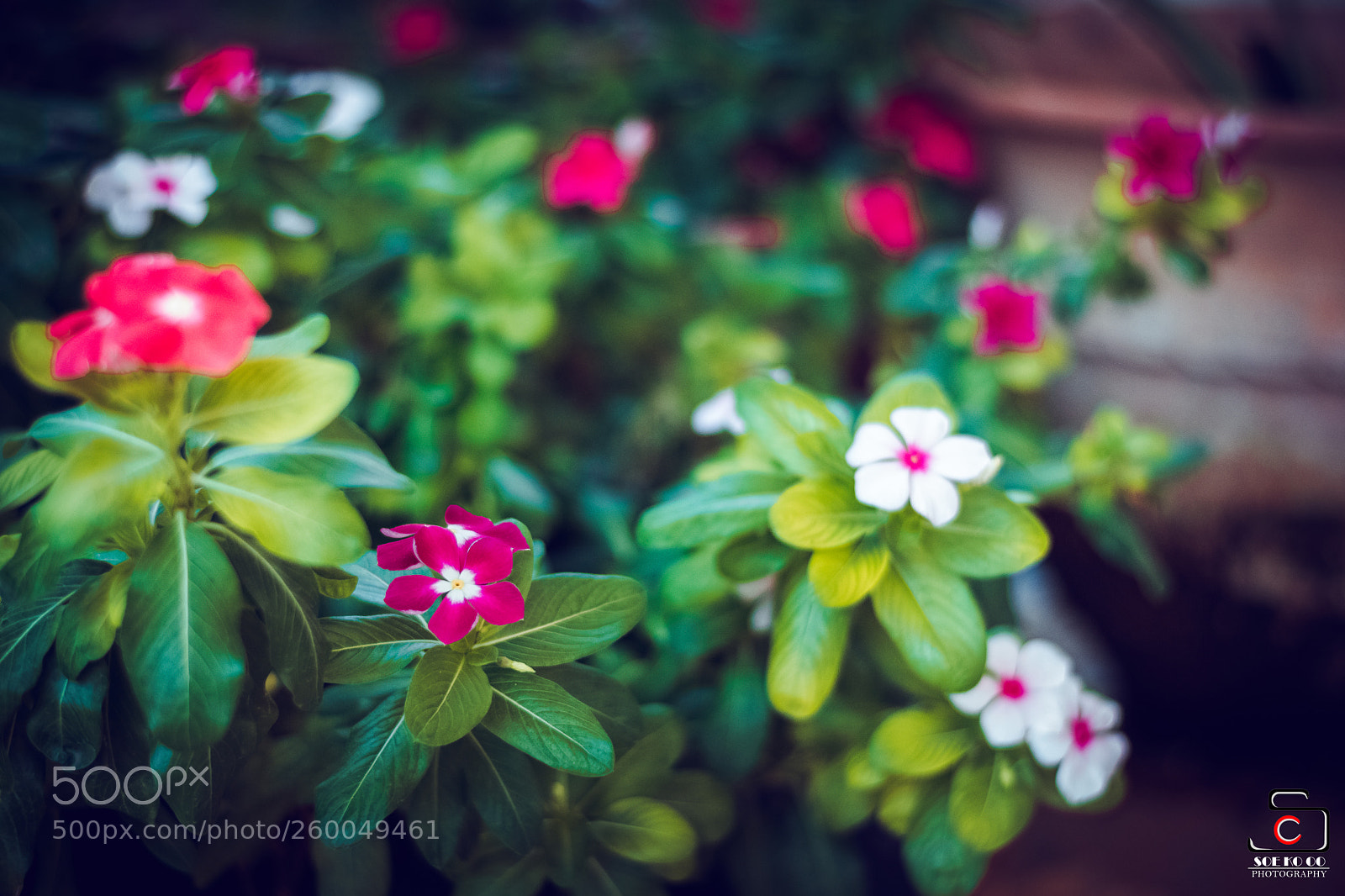 Nikon D7200 sample photo. Feel on your favourite photography