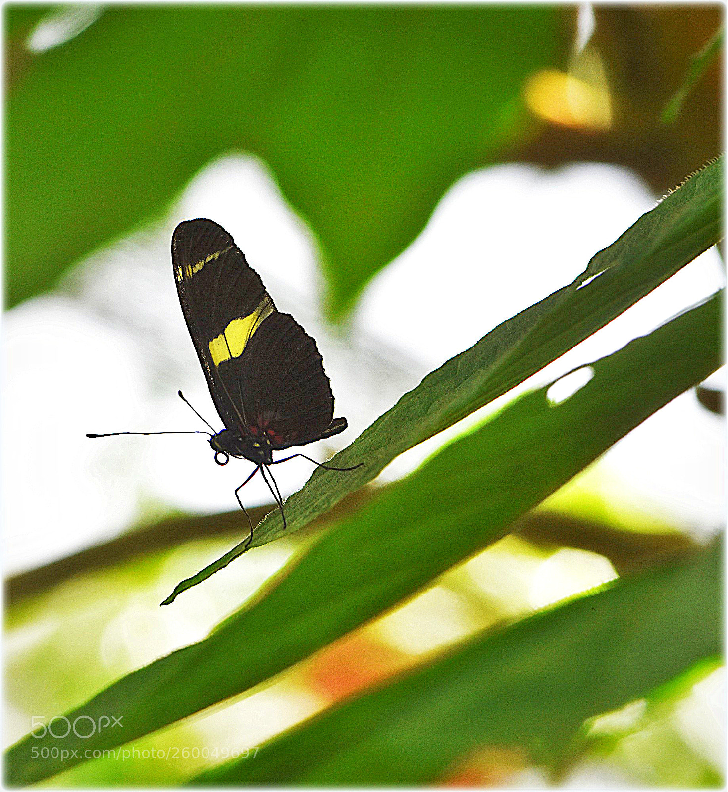 Nikon D7200 sample photo. "overview" photography