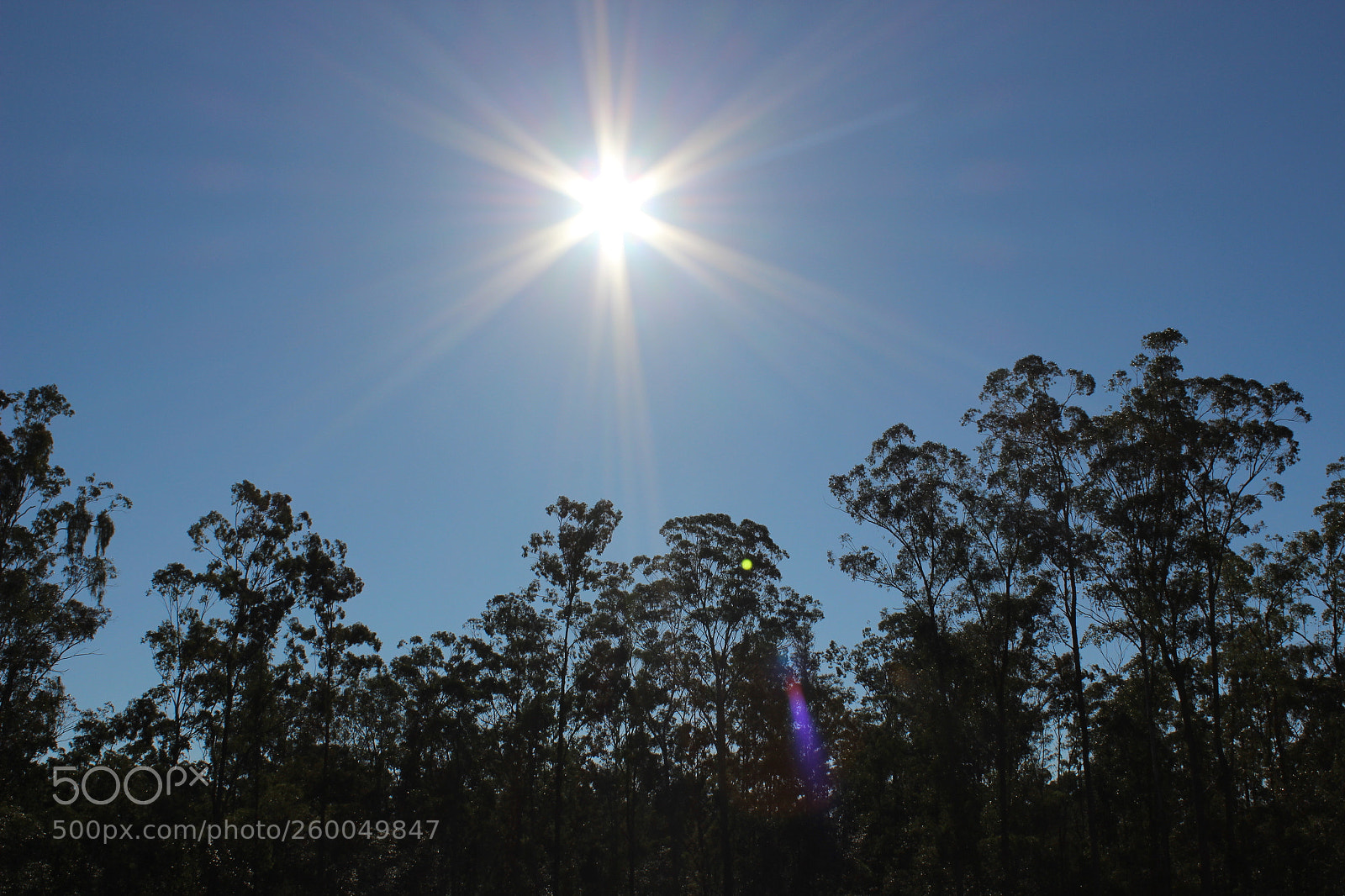 Canon EOS 600D (Rebel EOS T3i / EOS Kiss X5) sample photo. Beaming photography