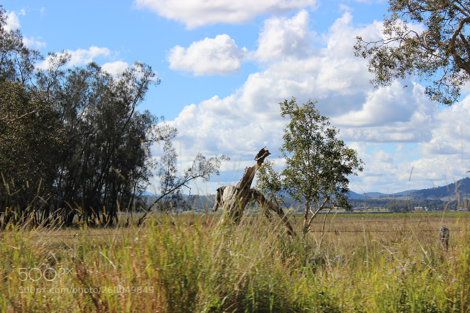 Canon EOS 600D (Rebel EOS T3i / EOS Kiss X5) sample photo. Outback photography