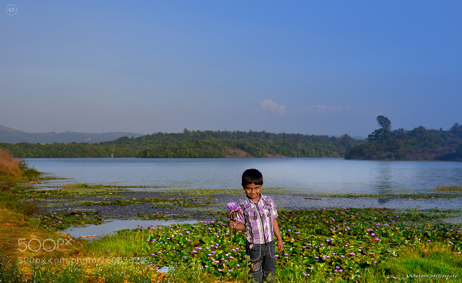 Nikon D7000 sample photo. Dalas karapuzha with lotus photography