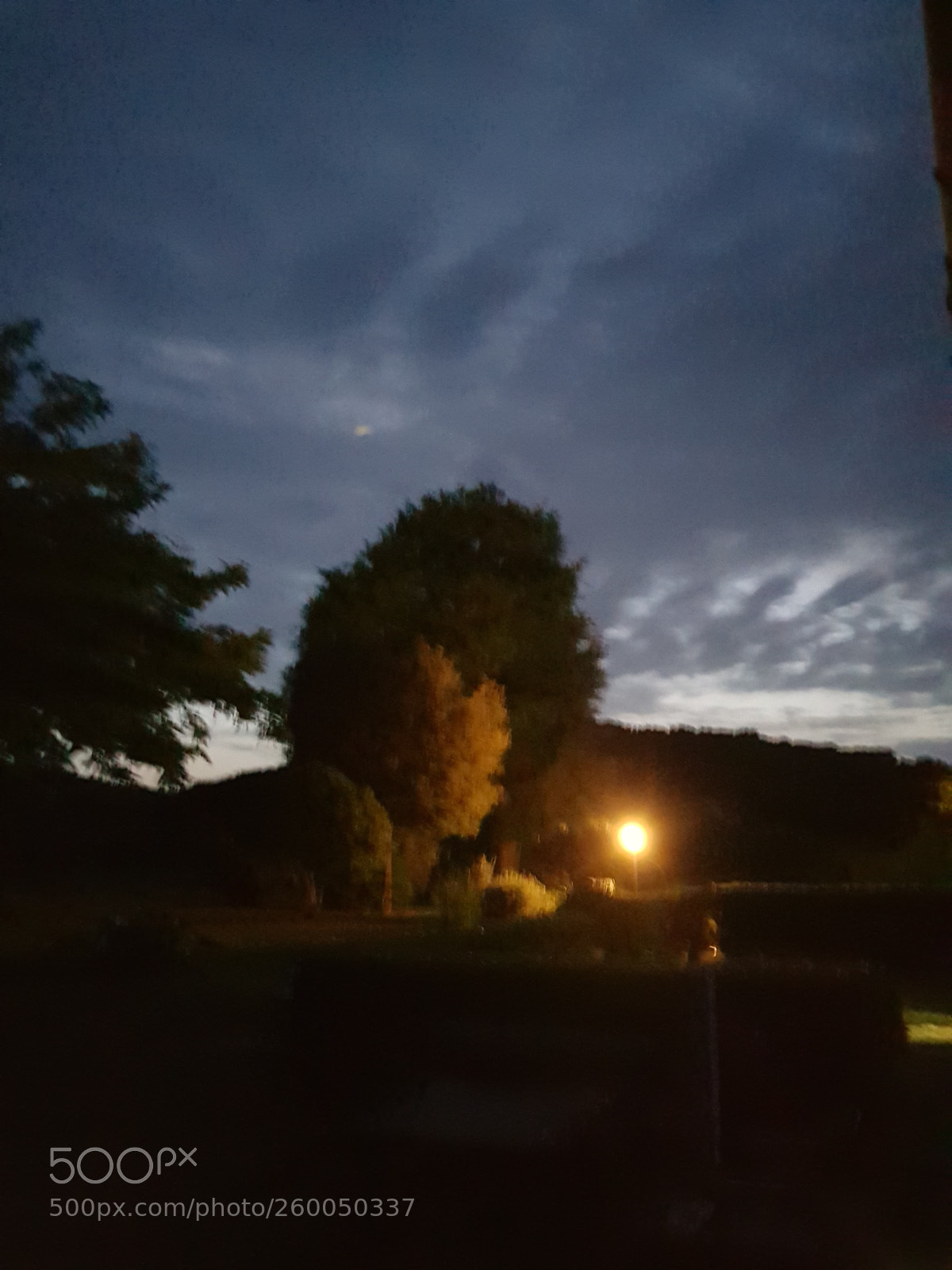 Samsung Galaxy S8+ sample photo. Untitled photography