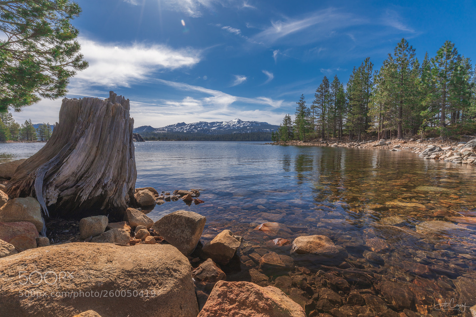 Canon EOS 5D Mark IV sample photo. Loon lake shore photography