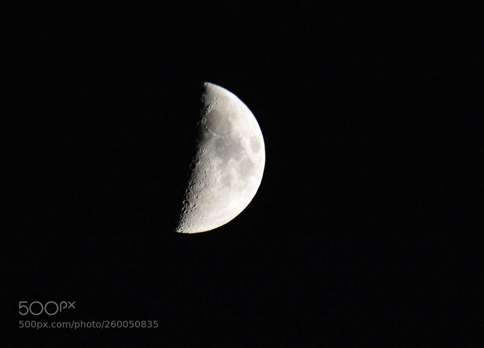 Nikon D5200 sample photo. Untitled photography
