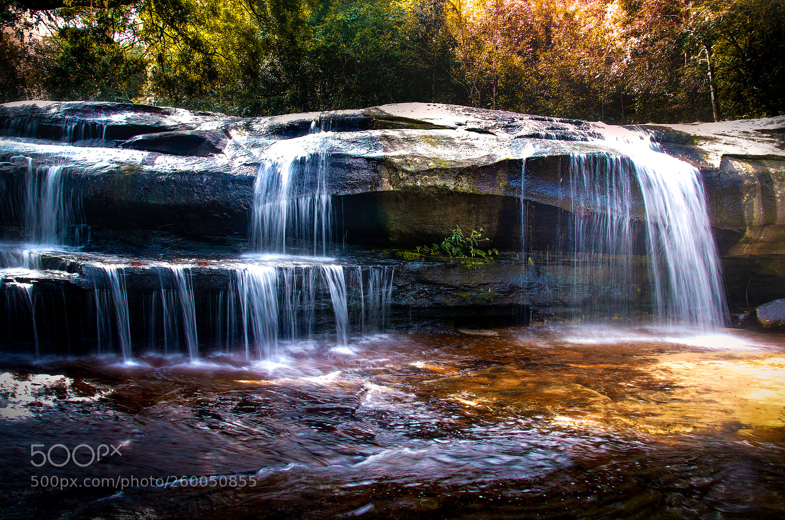Nikon D7000 sample photo. Amazing beauty of nature.the photography