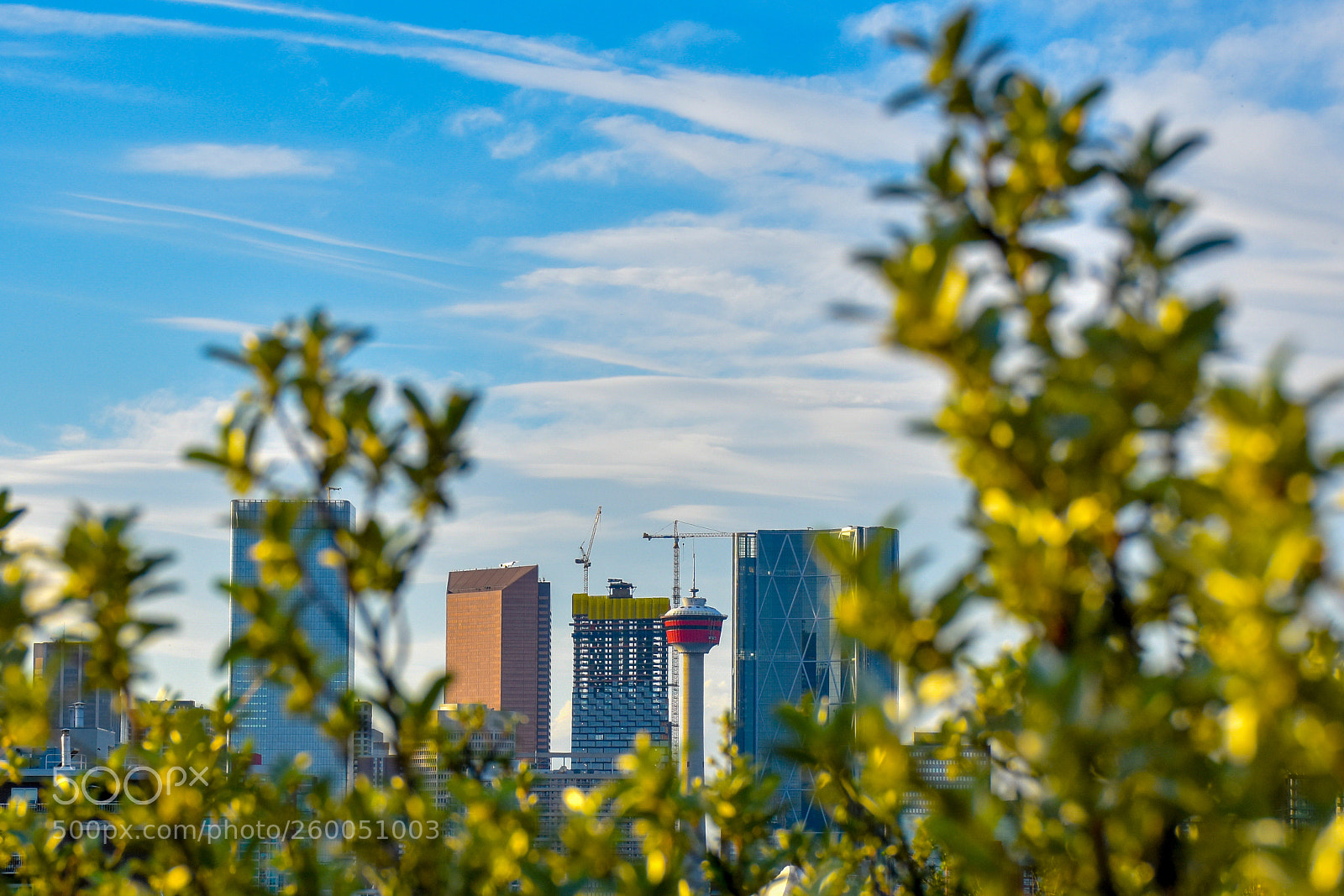 Nikon D7200 sample photo. Nature vs city calgary photography