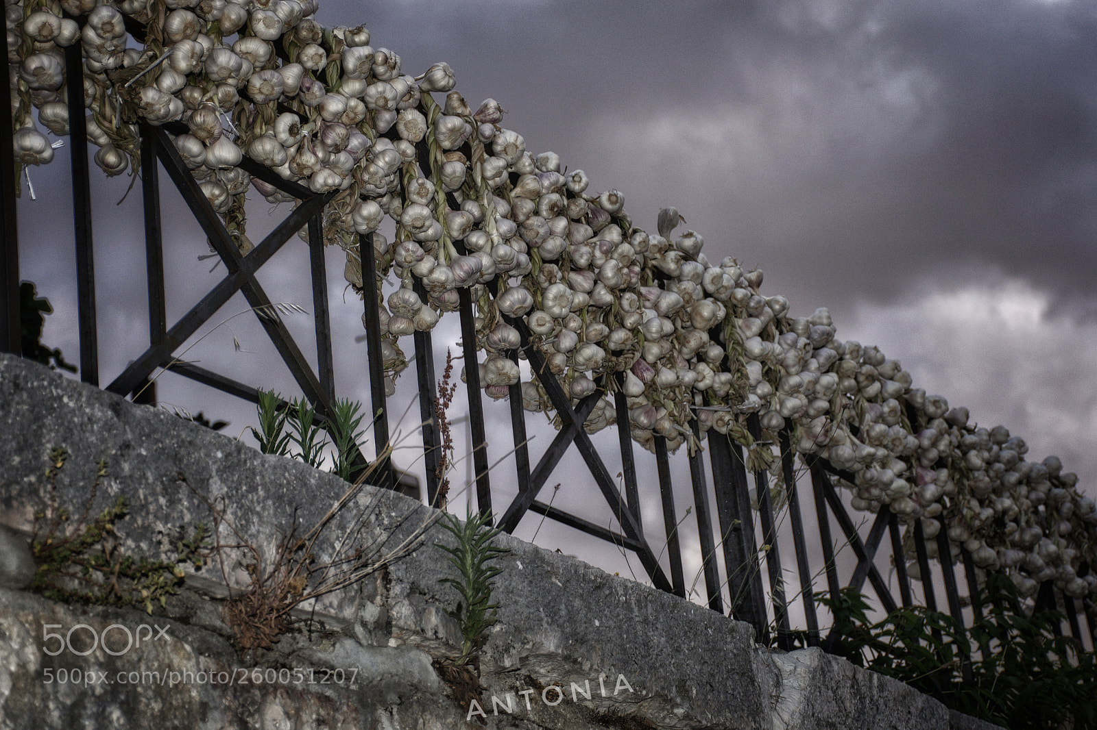 Nikon D7200 sample photo. Untitled photography