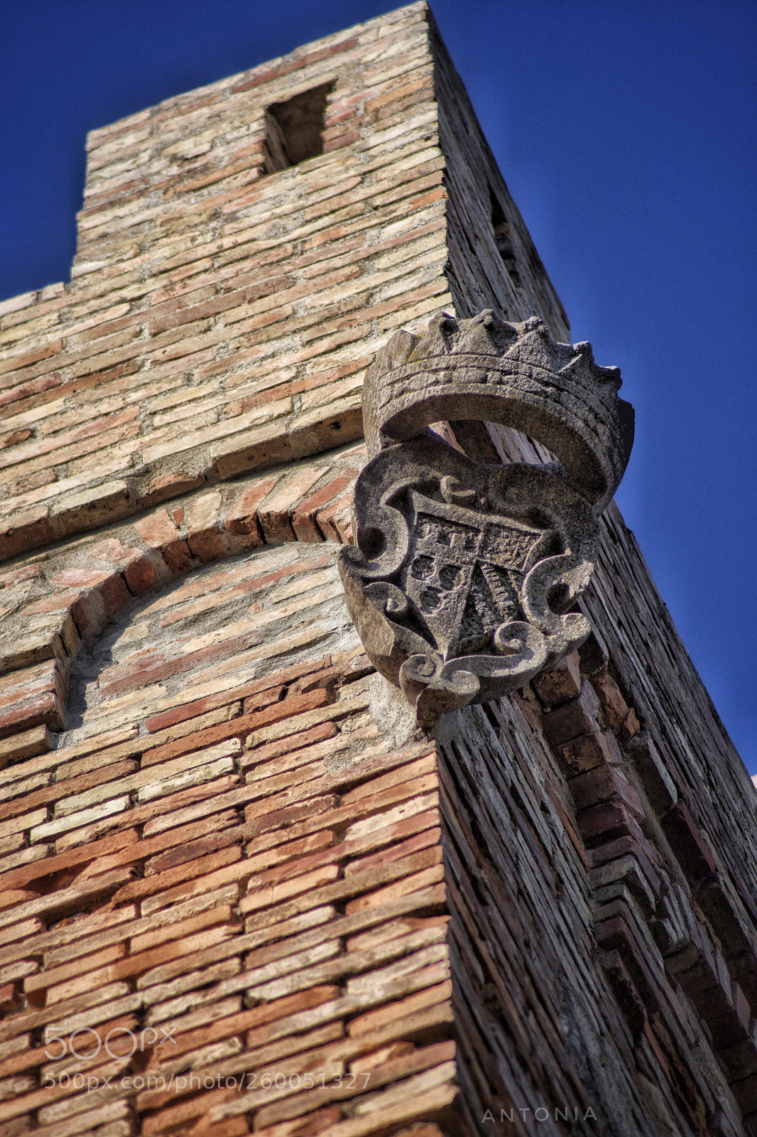 Nikon D7200 sample photo. Untitled photography