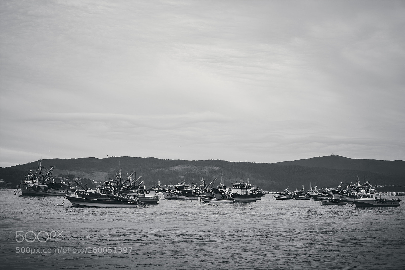 Nikon D750 sample photo. Coliumo photography