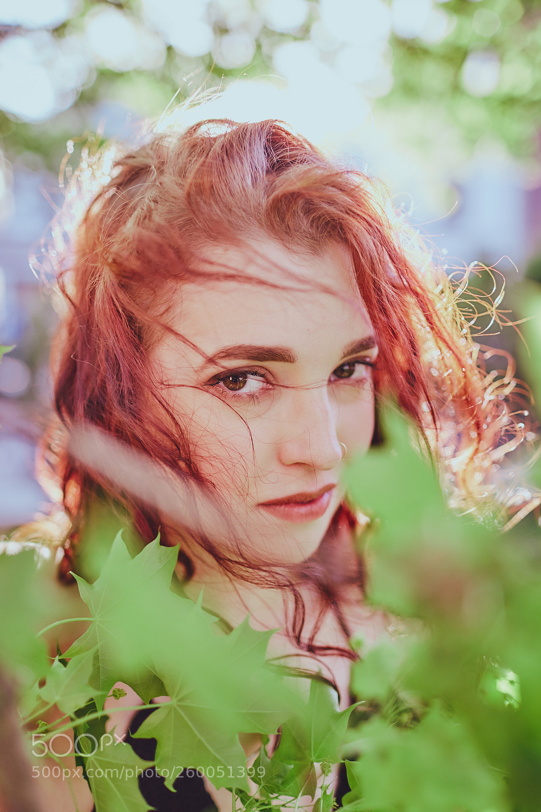 Canon EOS 6D sample photo. Perri photography