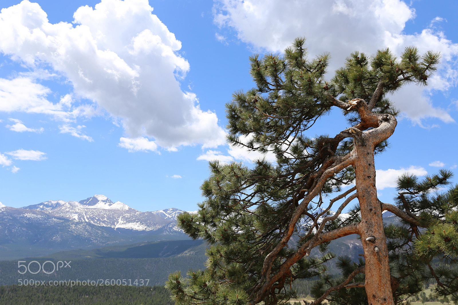 Canon EF 24-70mm F2.8L II USM sample photo. Rocky mountains national park photography