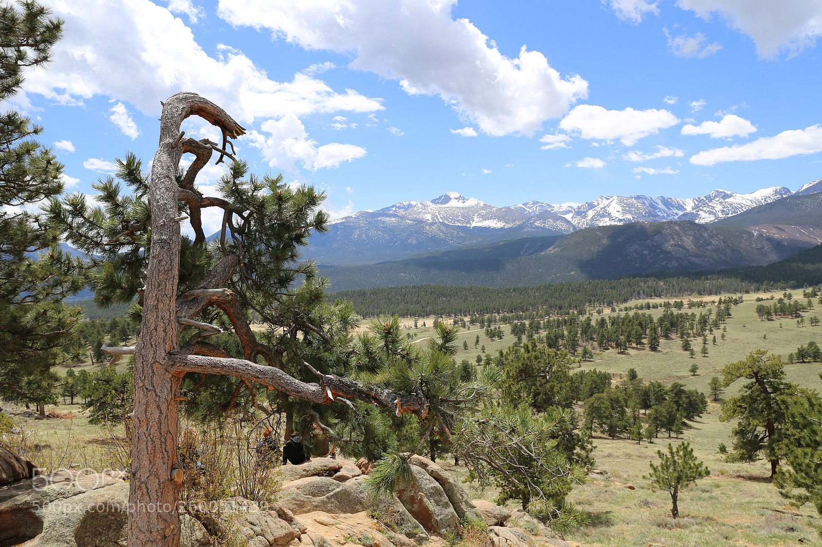 Canon EF 24-70mm F2.8L II USM sample photo. Rocky mountains national park photography
