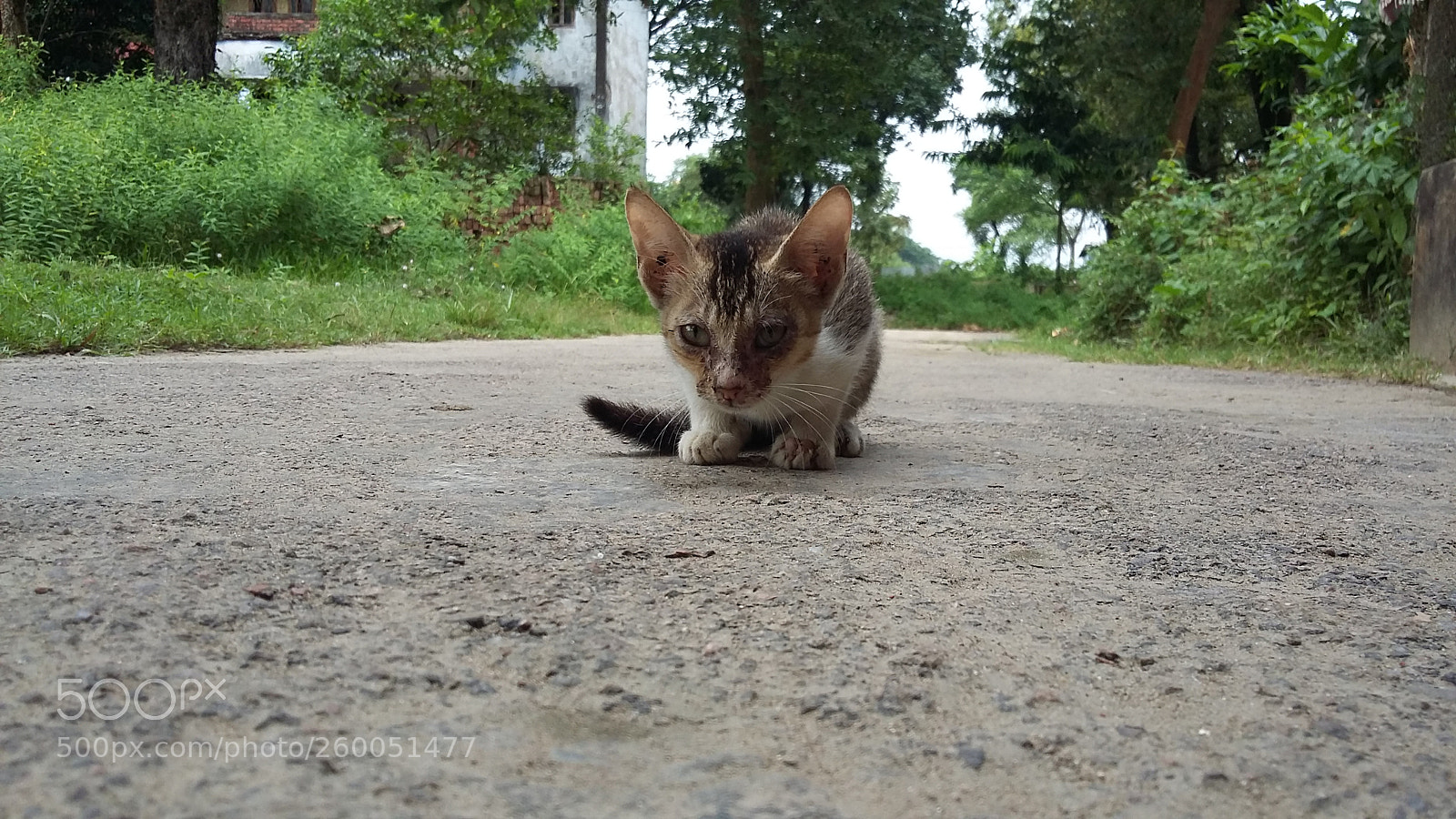 Samsung Galaxy Grand Prime sample photo. Untitled photography