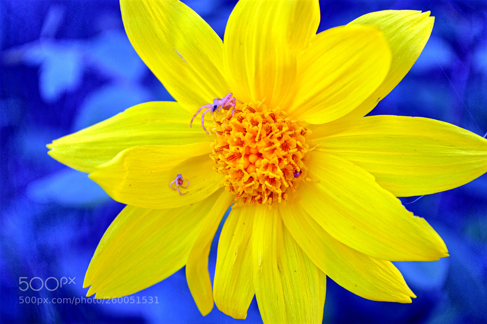 Nikon D3200 sample photo. Bad day/good day photography