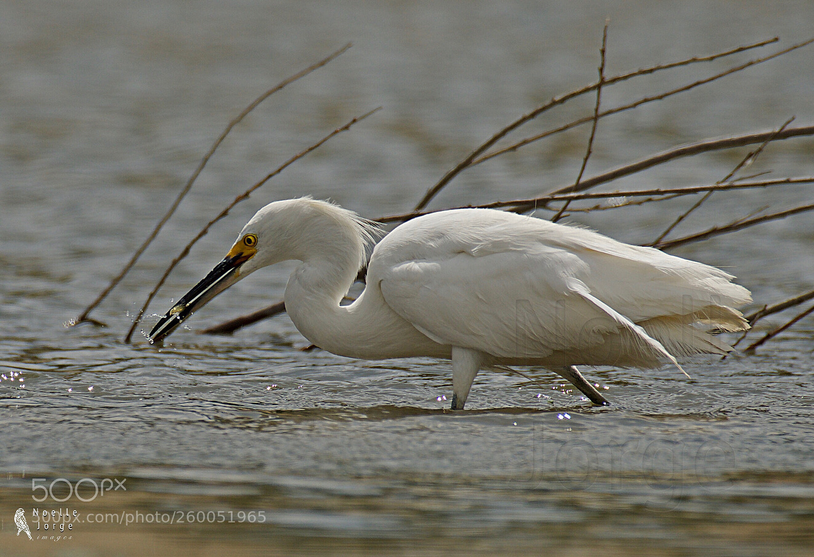 Nikon D500 sample photo. Fishing  photography