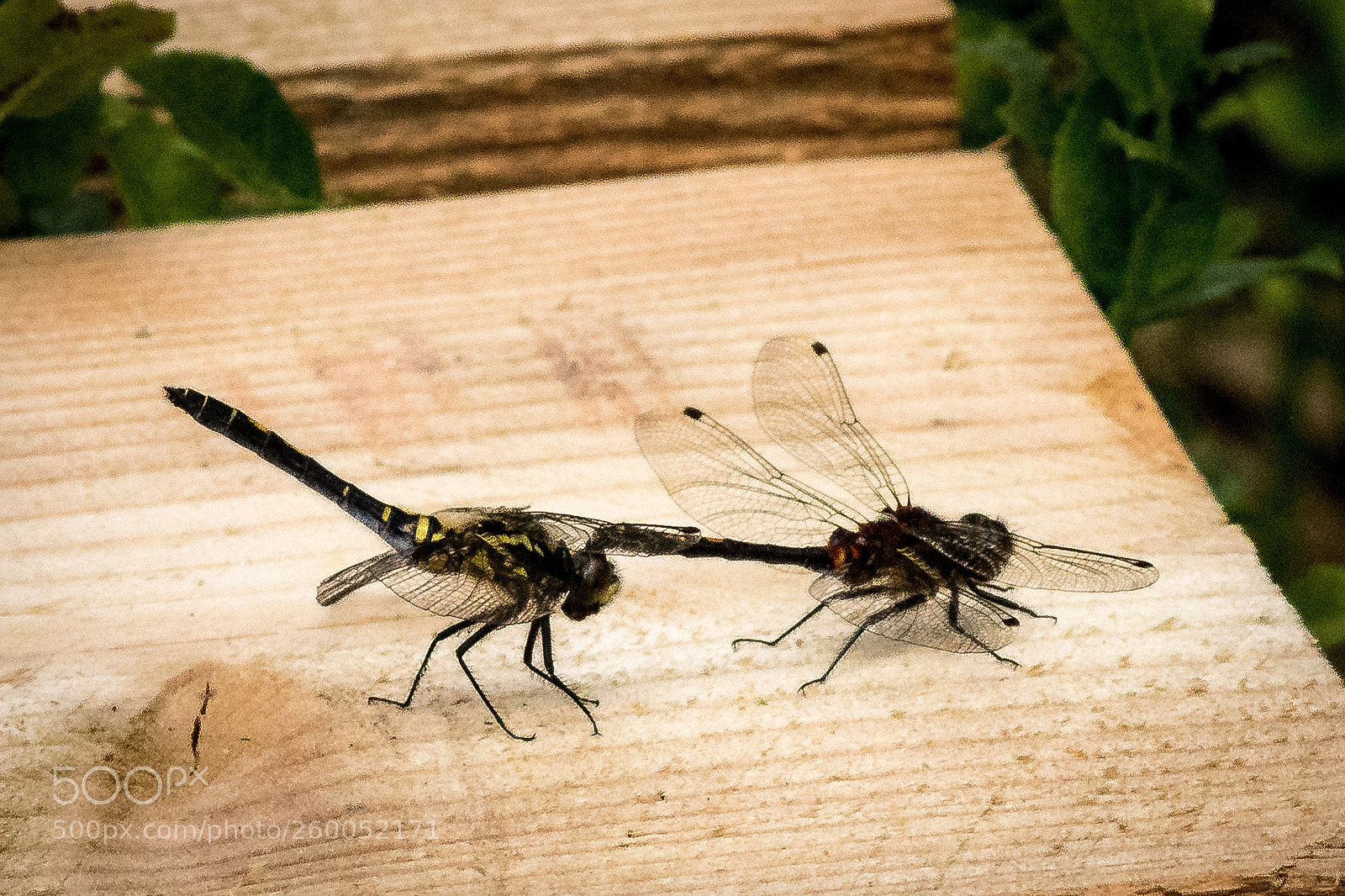 Canon EOS 80D sample photo. Couple photography