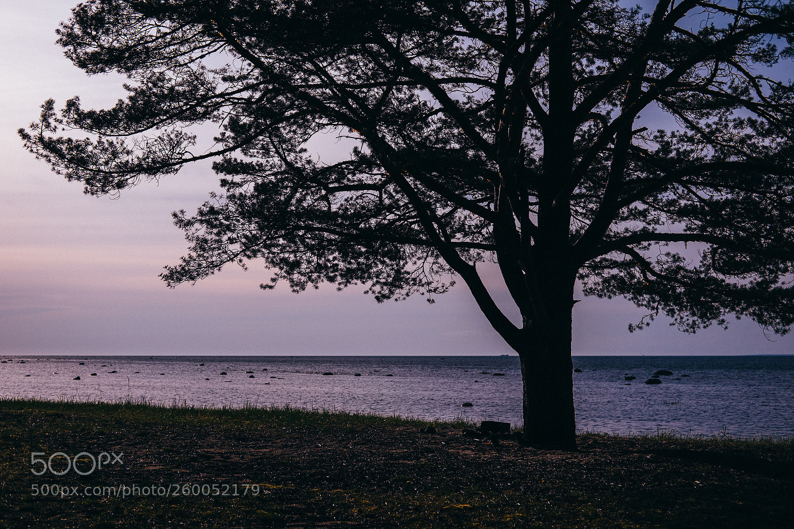 Fujifilm X-T1 sample photo. The gulf of finland photography