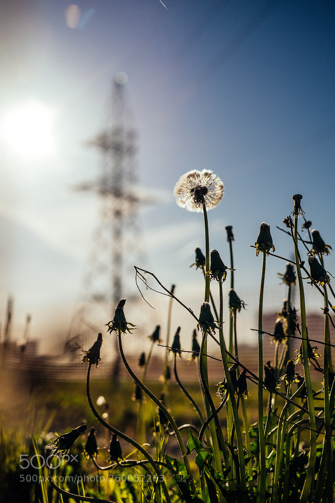 Fujifilm X-T1 sample photo. Big photography
