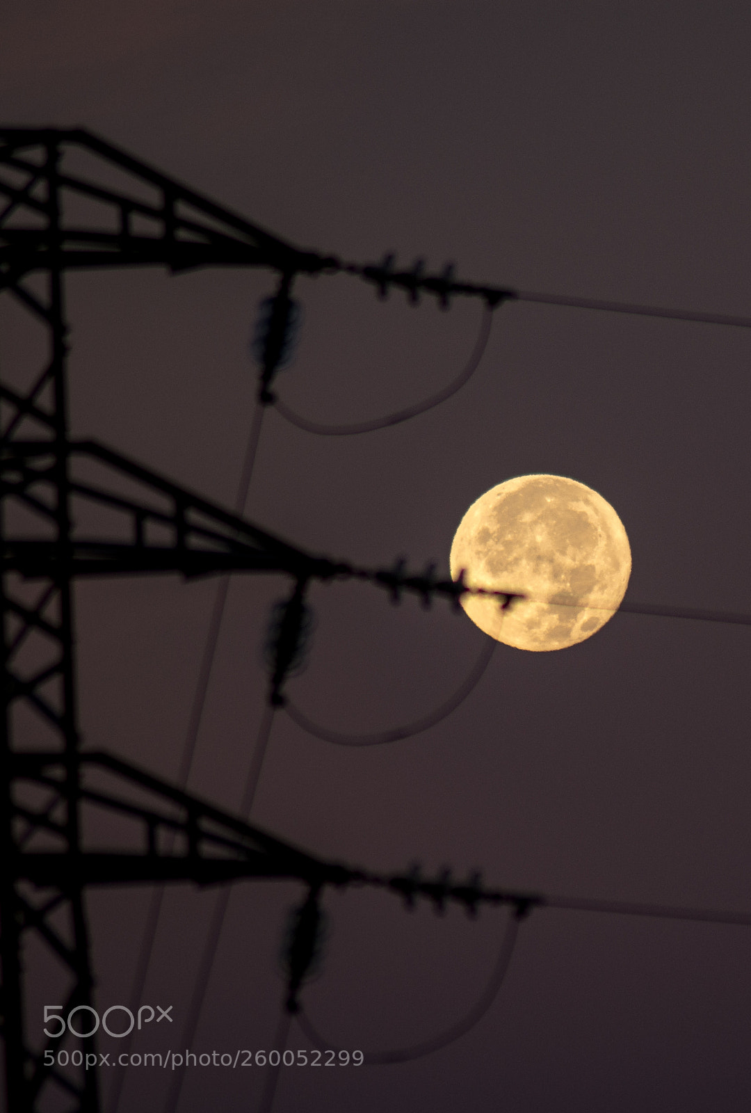Nikon D7200 sample photo. Untitled photography