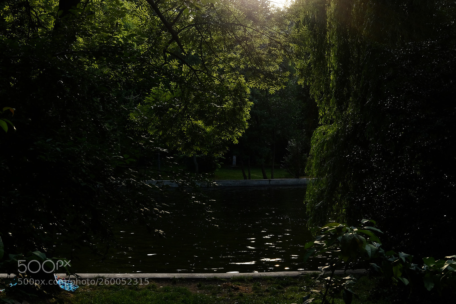 Fujifilm X-E2 sample photo. Cheshire cat photography