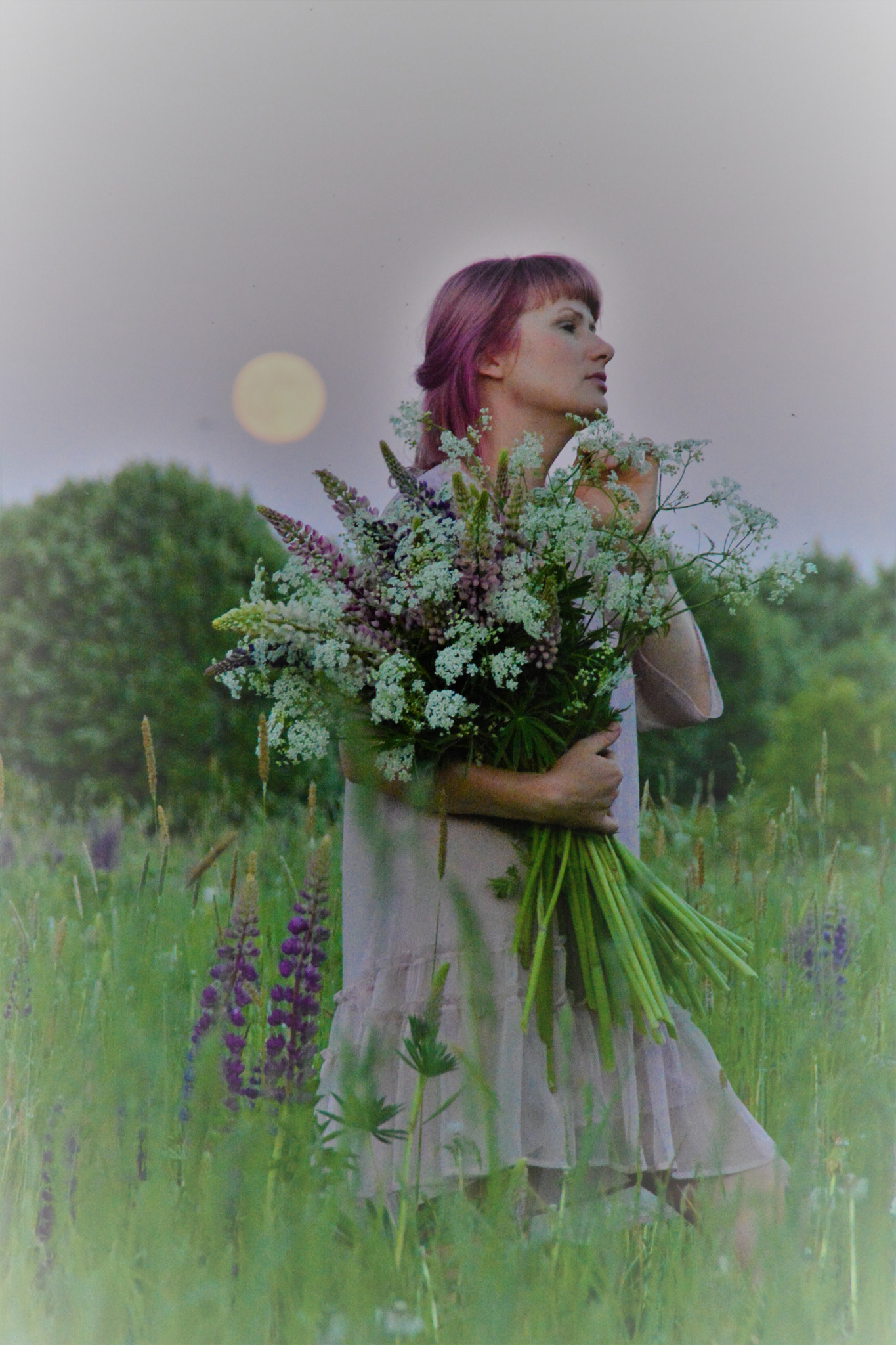 Nikon D5200 sample photo. Fairytales photography