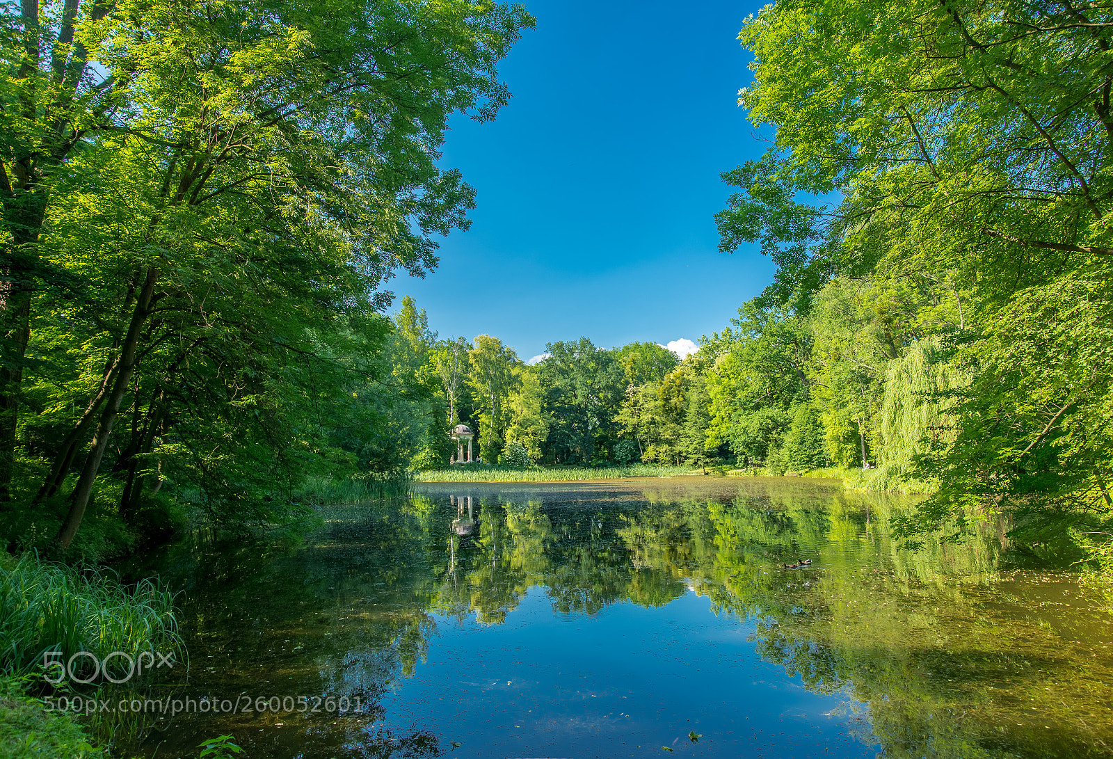 Nikon D610 sample photo. D610 photography