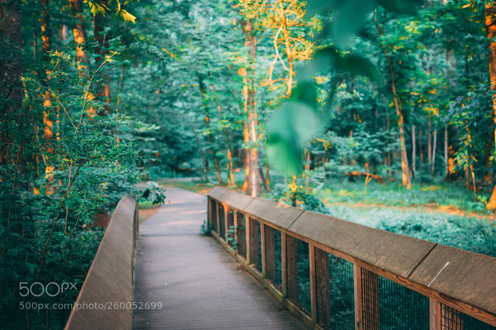 Nikon D3400 sample photo. Crossing  photography