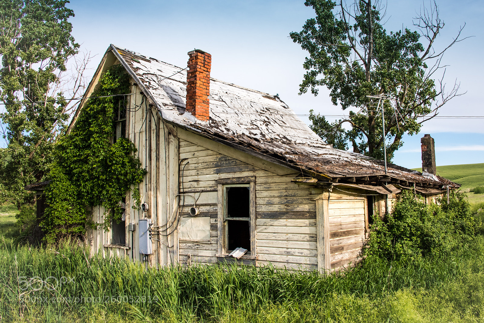 Nikon D810 sample photo. Once upon a time photography