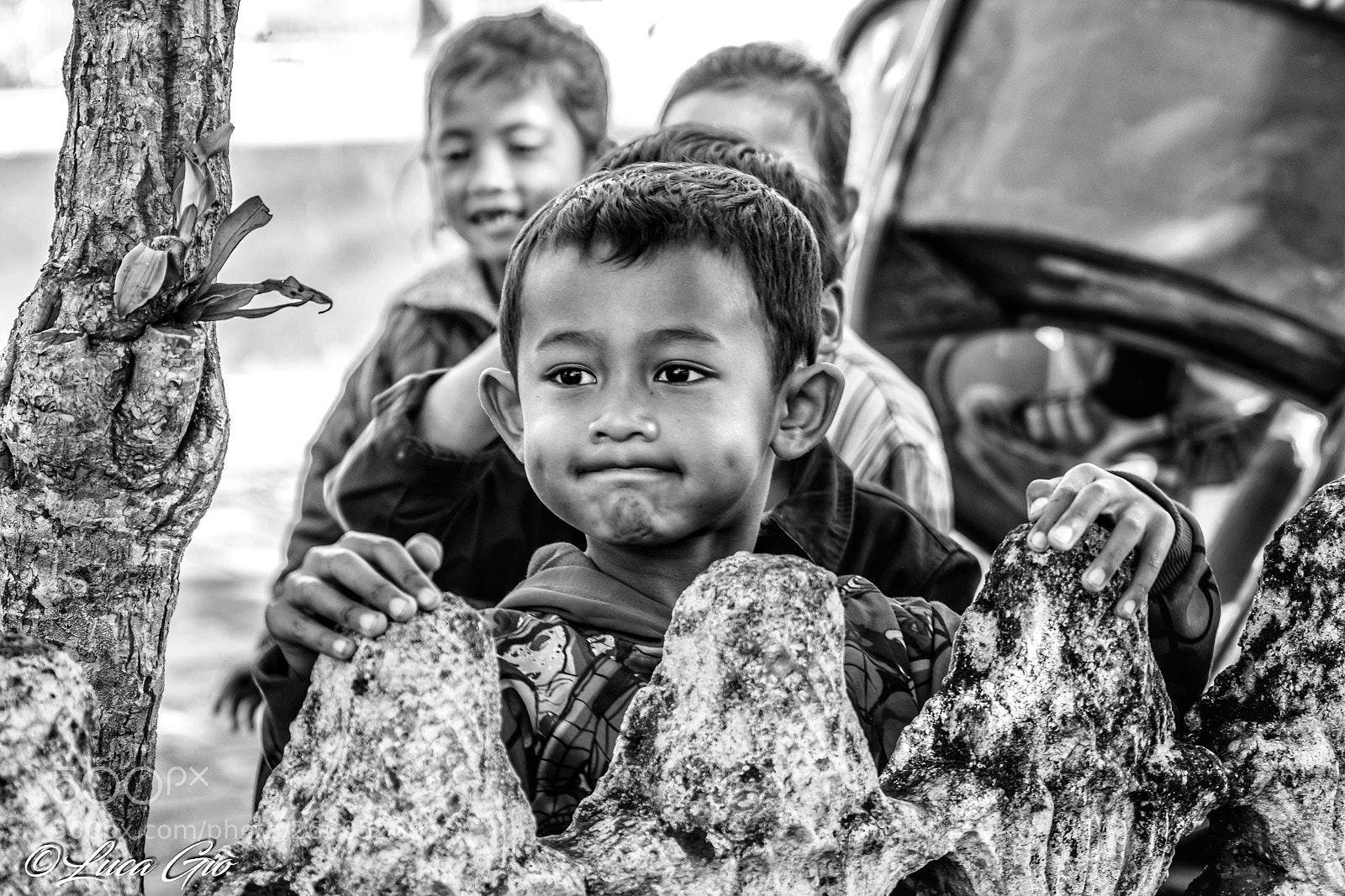 Canon EOS 80D sample photo. Untitled photography