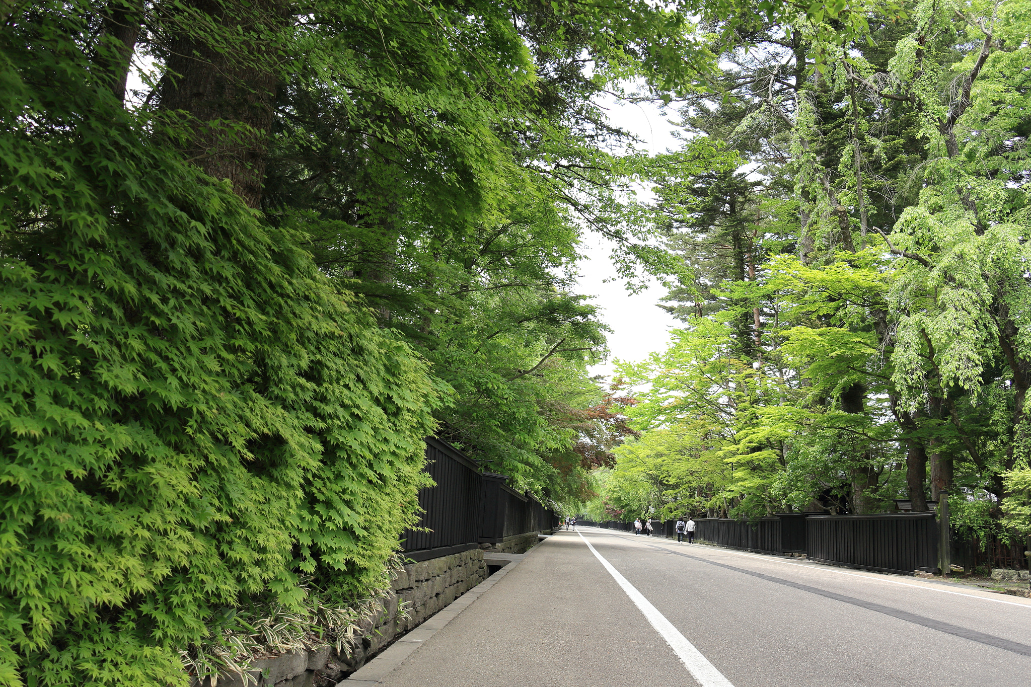 Canon EOS 60D + Canon EF-S 18-135mm F3.5-5.6 IS STM sample photo. Kakunodate buke-yashiki samurai street photography